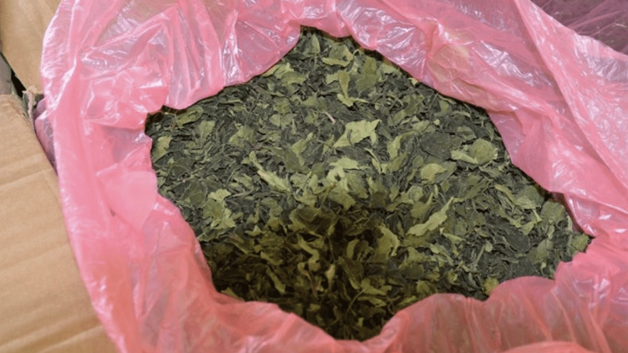 Hơn 462 kg chất kích thích bị cấm được phát hiện tại sân bay Praha