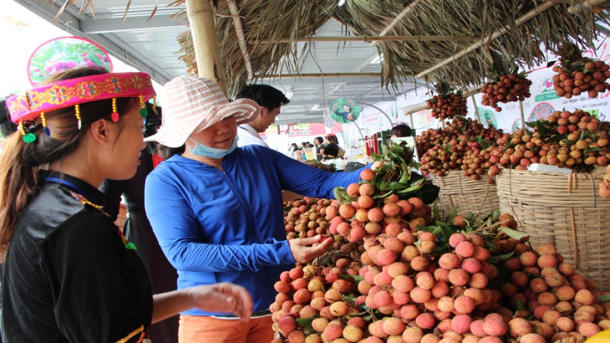 Sản phẩm đầu tiên của Việt Nam được bảo hộ chỉ dẫn địa lý tại Nhật