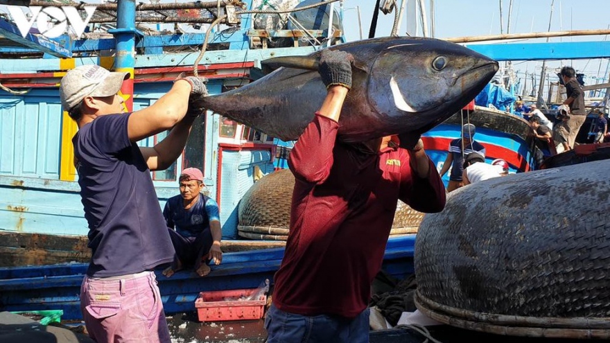 Xuất khẩu cá ngừ tăng mạnh trong tháng 4/2021