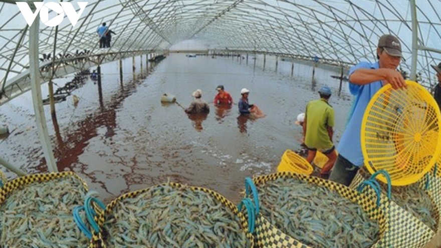 Phê duyệt Đề án phát triển nuôi trồng thuỷ sản trên biển đến năm 2030, tầm nhìn đến 2045