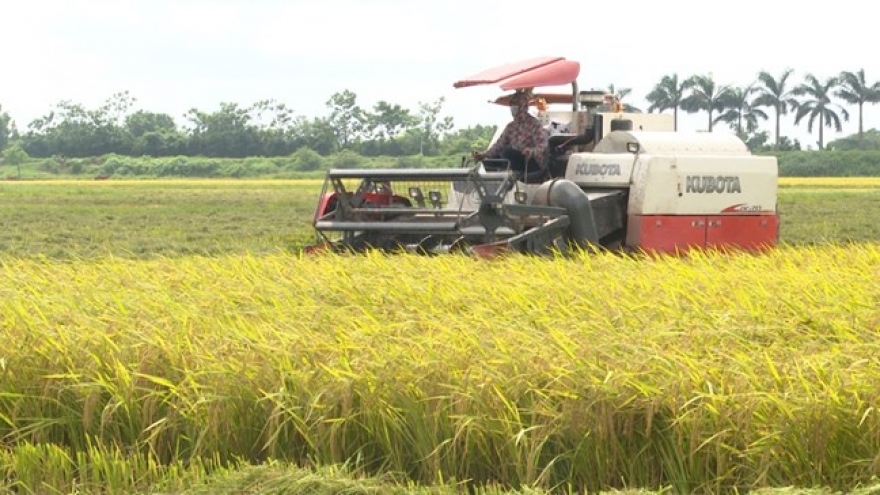 Thái Bình đẩy mạnh kinh tế tập thể trong nông nghiệp gắn với phát triển thương mại điện tử