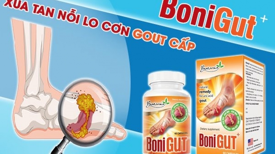 BoniGut+ xua tan nỗi lo cơn Gout cấp tái phát triền miên