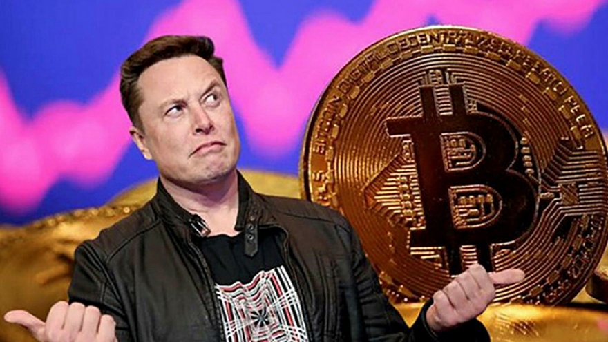 Tesla bán tháo 3/4 số Bitcoin nắm giữ