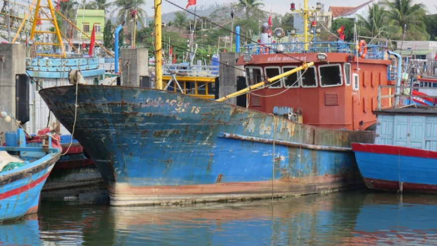 Cử tri Quảng Ngãi đề nghị khoanh nợ vay nâng cấp, đóng mới tàu cá theo Nghị định