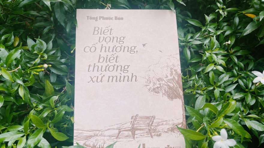 Vọng cố hương thương xứ mình