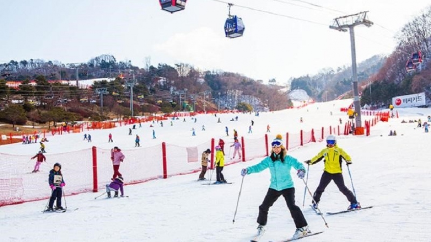 Ẩm thực mùa đông xứ Hàn làm “say đắm” du khách