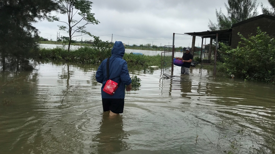 Nhiều hồ tôm ở Nghệ An ngập trắng