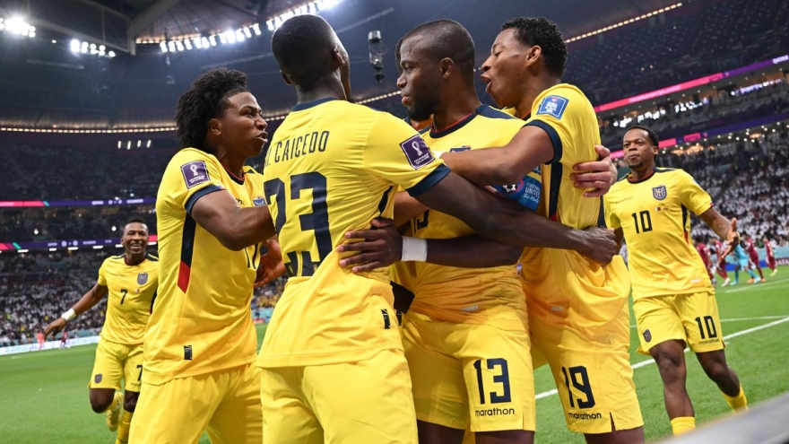 Dự đoán World Cup 2022 cùng BLV: Ecuador sẽ gây sốc trước Hà Lan