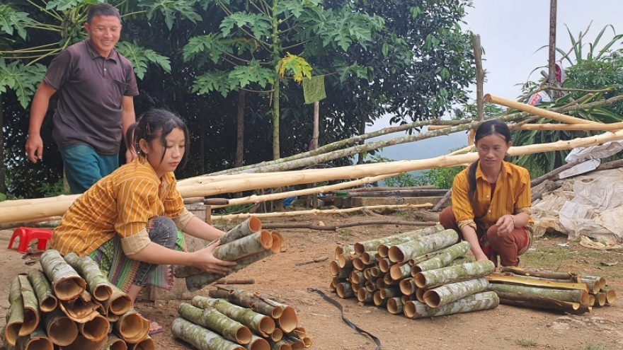 Nông nghiệp Lào Cai “đi sau, về trước”