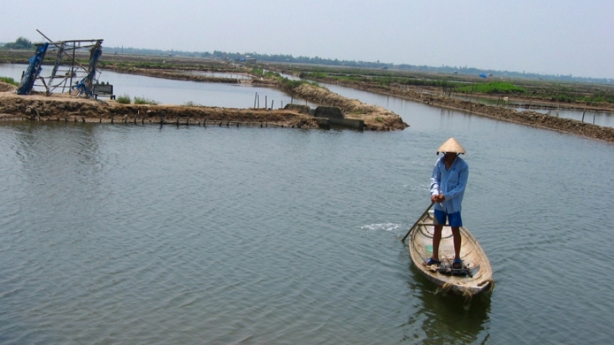 Phát triển hệ đầm phá Tam Giang - Cầu Hai trở thành “Công viên đầm phá"