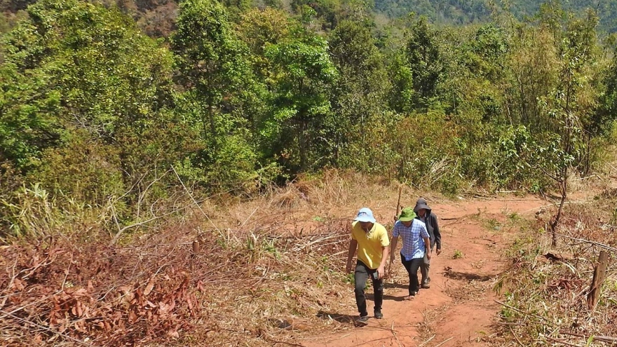 Kon Tum tăng cường lực lượng, phương tiện phòng chống cháy rừng