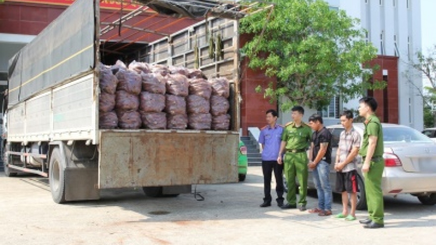 Công an Nghệ An bắt 02 đối tượng vận chuyển 1,4 tấn pháo hoa nổ