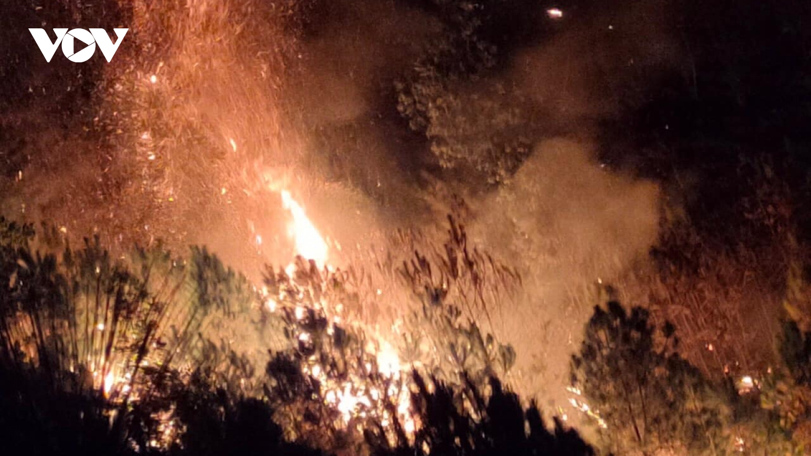 Hà Tĩnh huy động hàng trăm người dập lửa cứu rừng giữa đêm