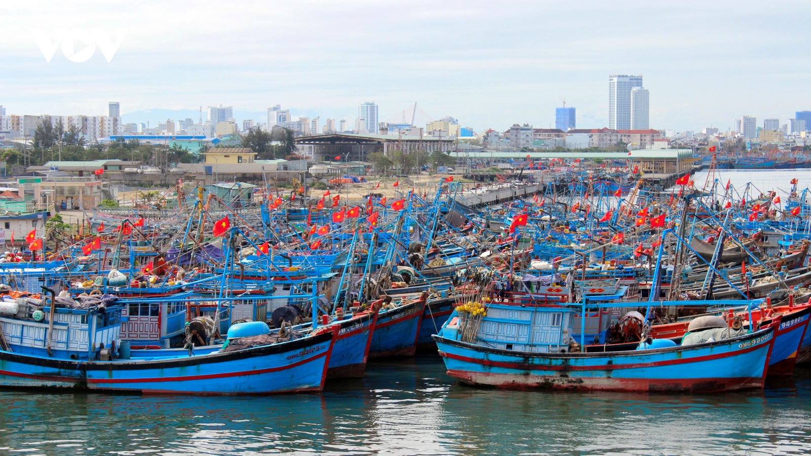 Cảng cá Thọ Quang, thành phố Đà Nẵng vắng vẻ ngày mùng 2 Tết