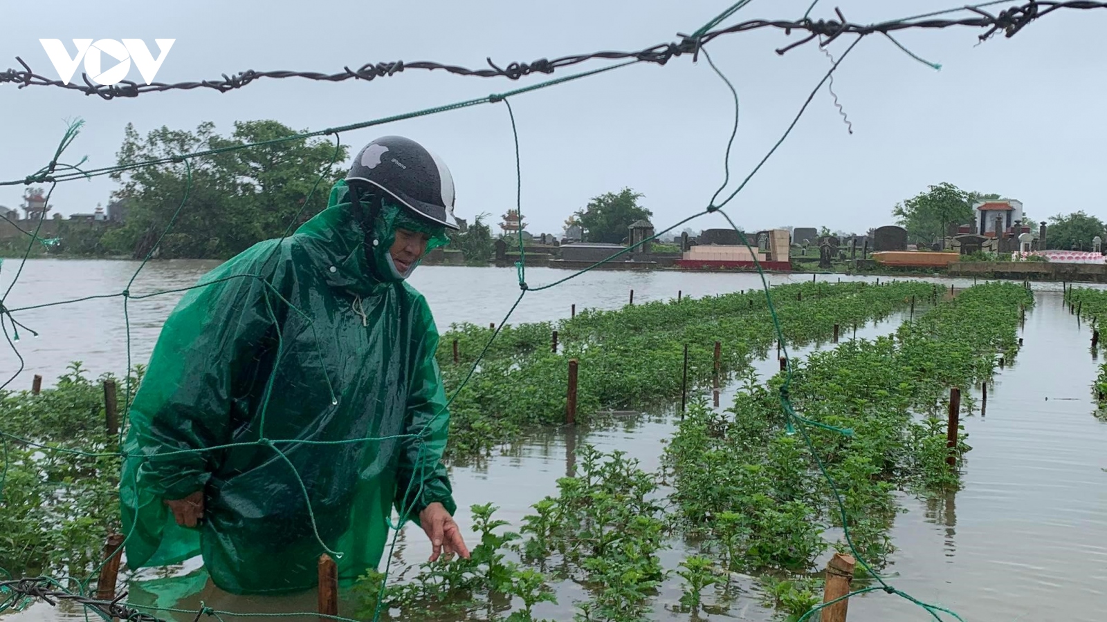 Thừa Thiên Huế: “Còn nước còn tát“ nỗ lực cứu lúa và hoa màu