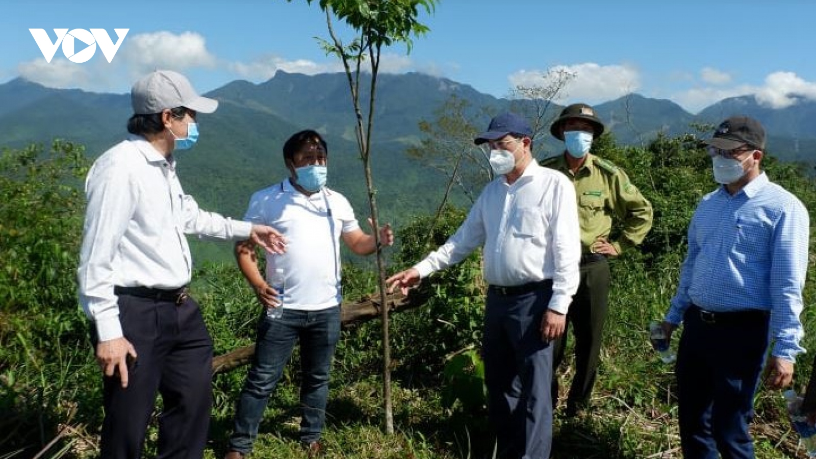 Hiệu quả giao khoán rừng, đất rừng cho người Cơ Tu quản lý