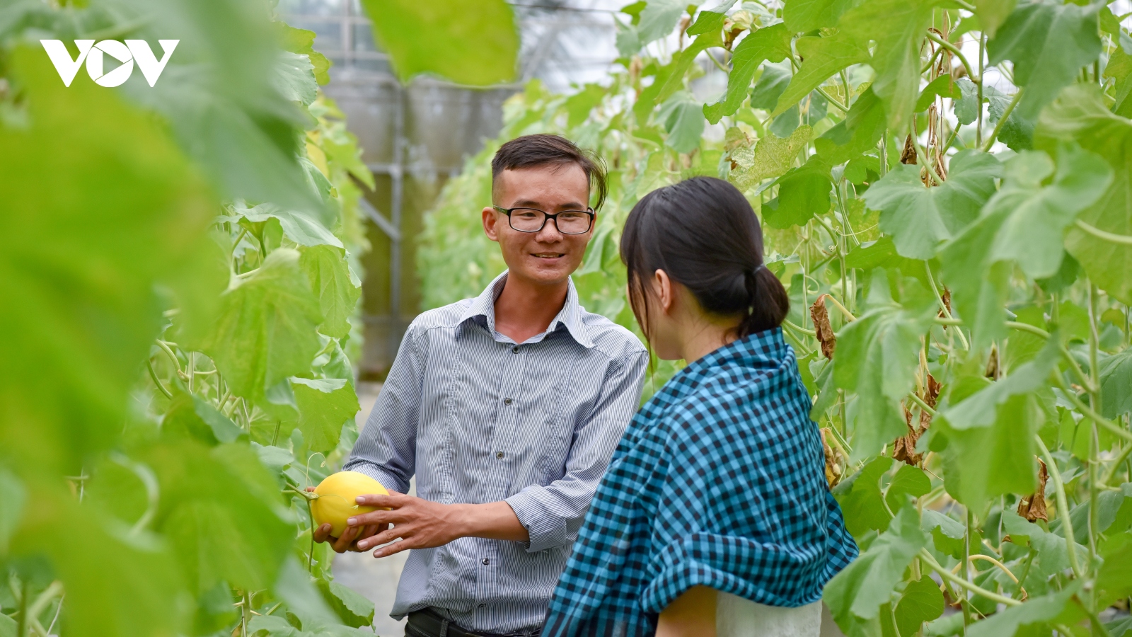 Du lịch nông nghiệp: Hãy học người miền Tây!