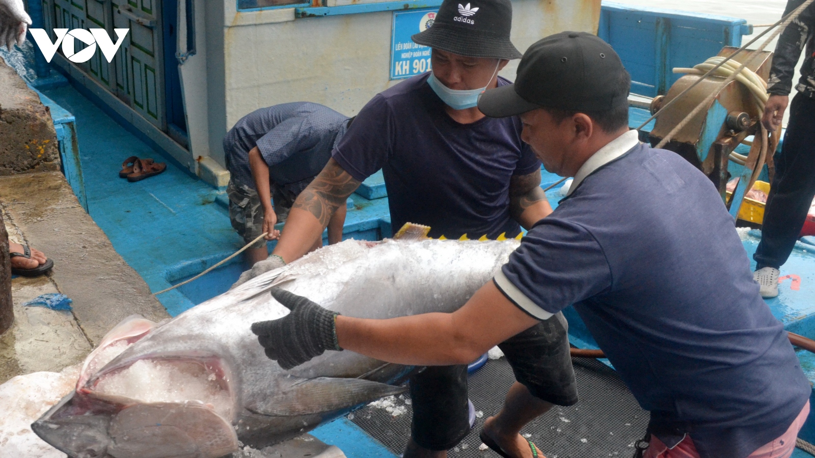 Khánh Hòa nỗ lực tháo gỡ “thẻ vàng” IUU