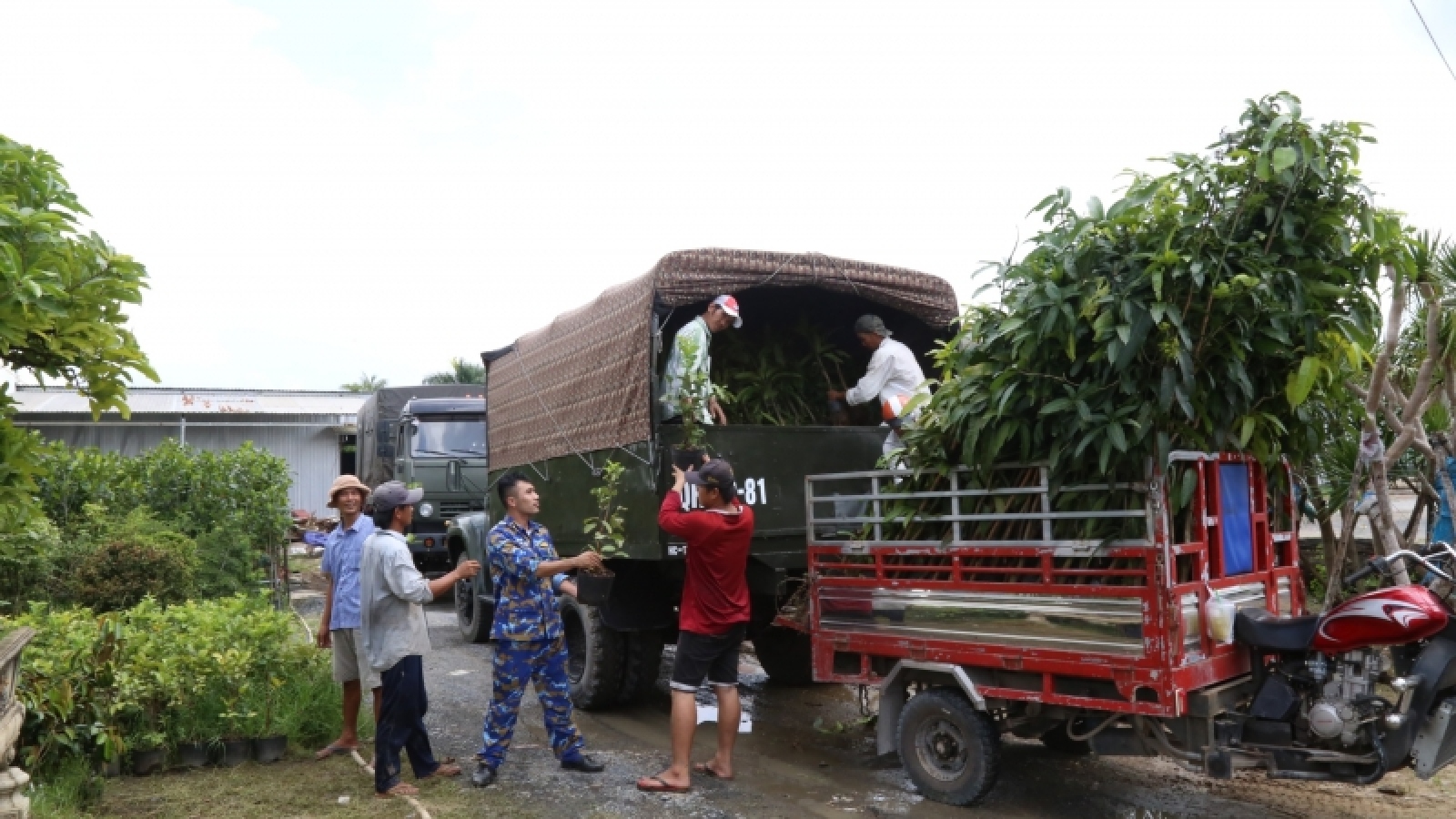 Bến Tre gửi tặng 15.000 cây giống ra Trường Sa