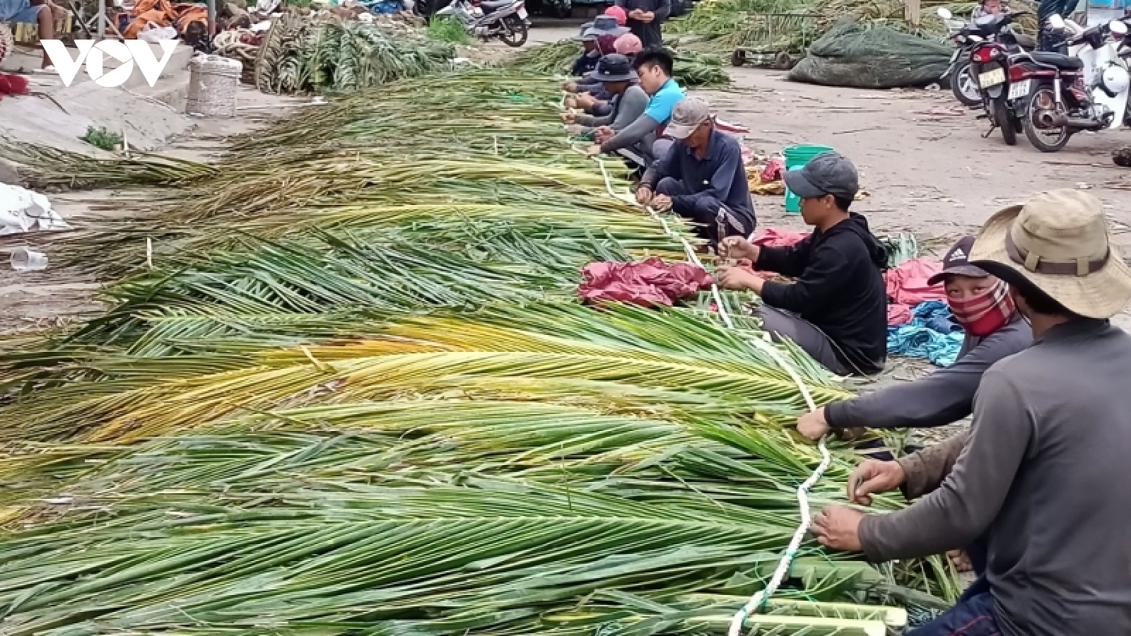 Ngư dân Bình thuận làm “nhà” cho cá