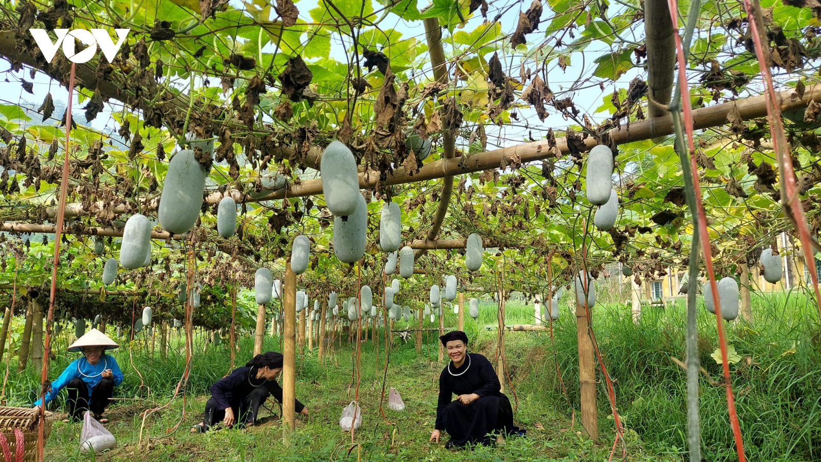 Tuần Văn hóa du lịch Bắc Kạn mang đến nhiều trải nghiệm mới