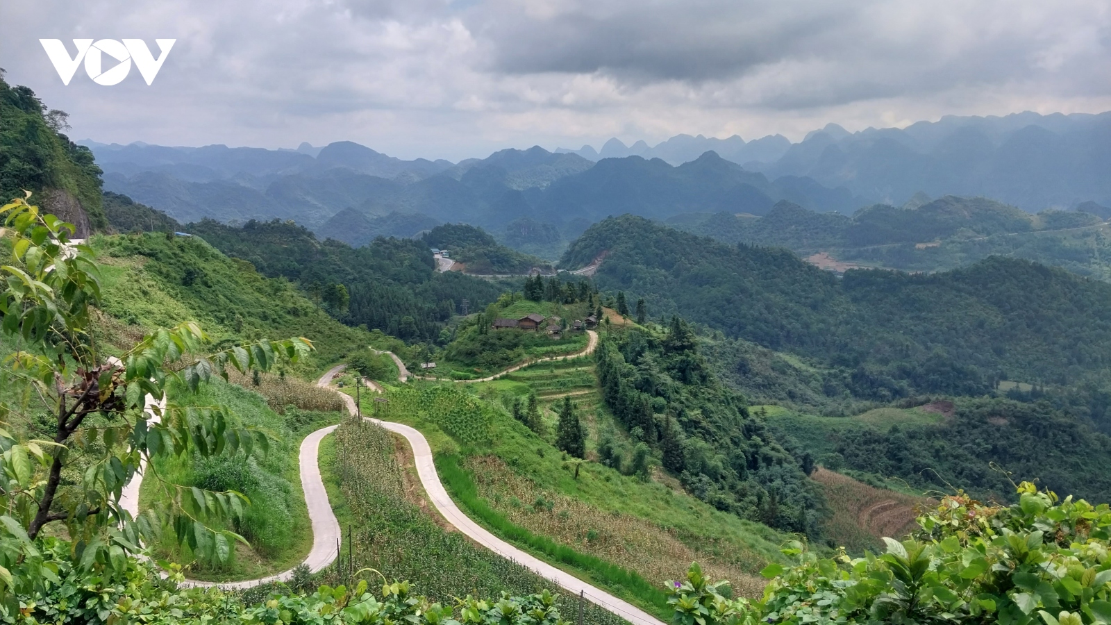 Trả lại màu xanh cho cao nguyên đá Hà Giang