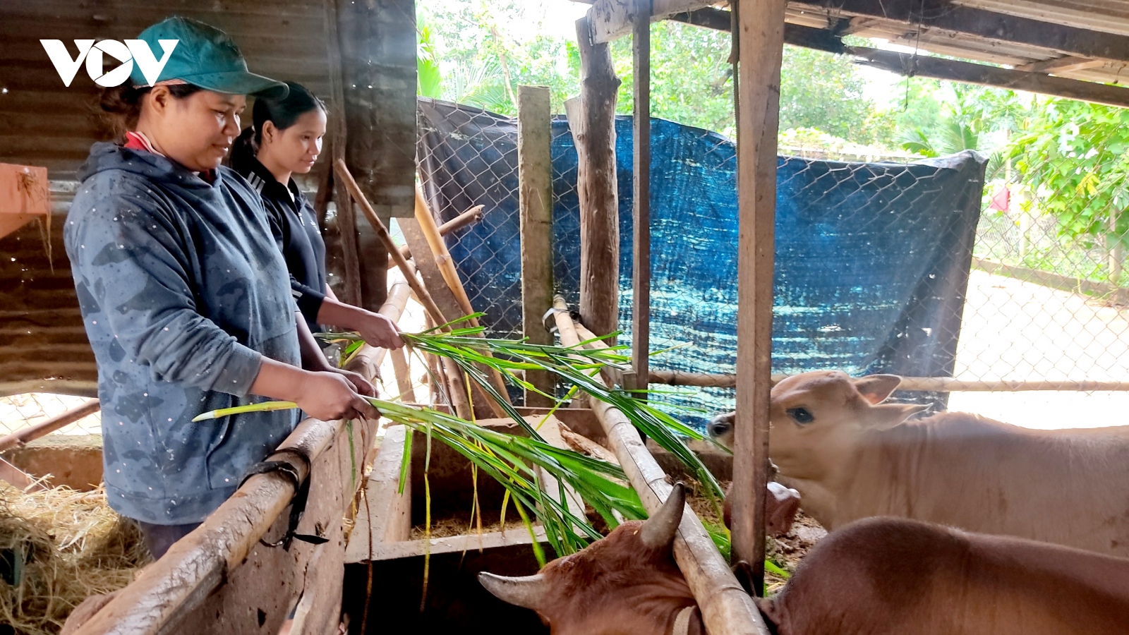 Hiệu quả Quỹ Tiết kiệm làm theo lời Bác ở Đắk Lắk