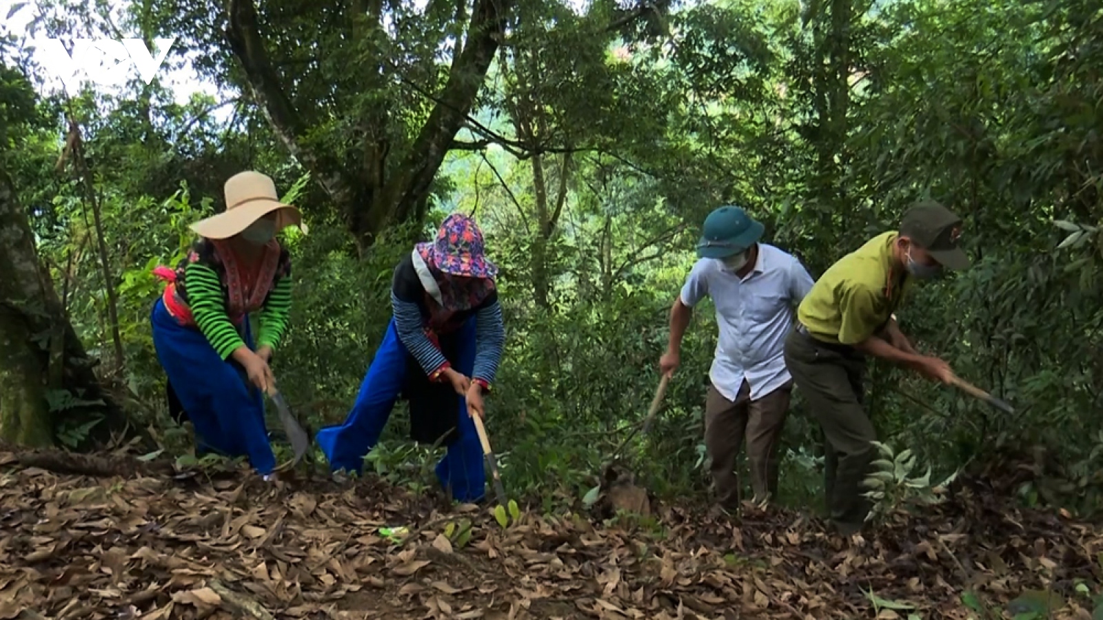 Người dân Lai Châu chủ động phòng cháy, chữa cháy rừng đầu mùa hanh khô