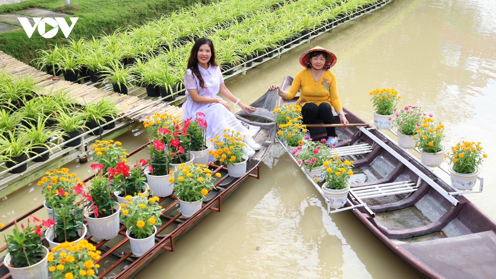 Làng hoa Sa Đéc ngập tràn hương sắc đón chào du khách