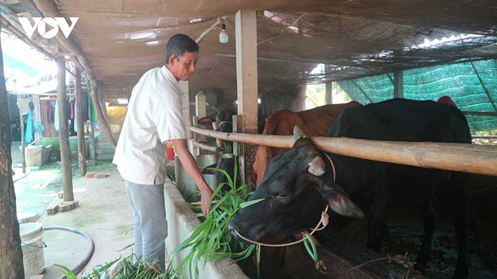 Ông Sơn Khiển, người có uy tín đóng góp nhiều cho phum sóc đồng bào Khmer