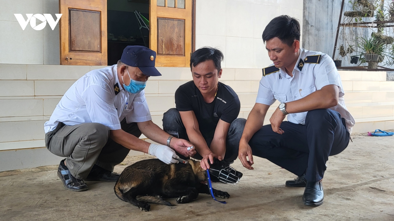 Đắk Lắk ghi nhận thêm 1 trường hợp tử vong vì bệnh dại