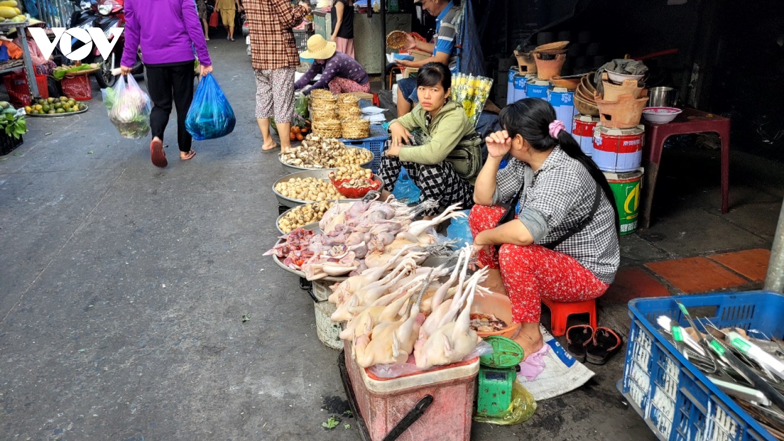 Nhiều người dân vùng dịch cúm A còn chủ quan, lơ là như chưa hề có dịch