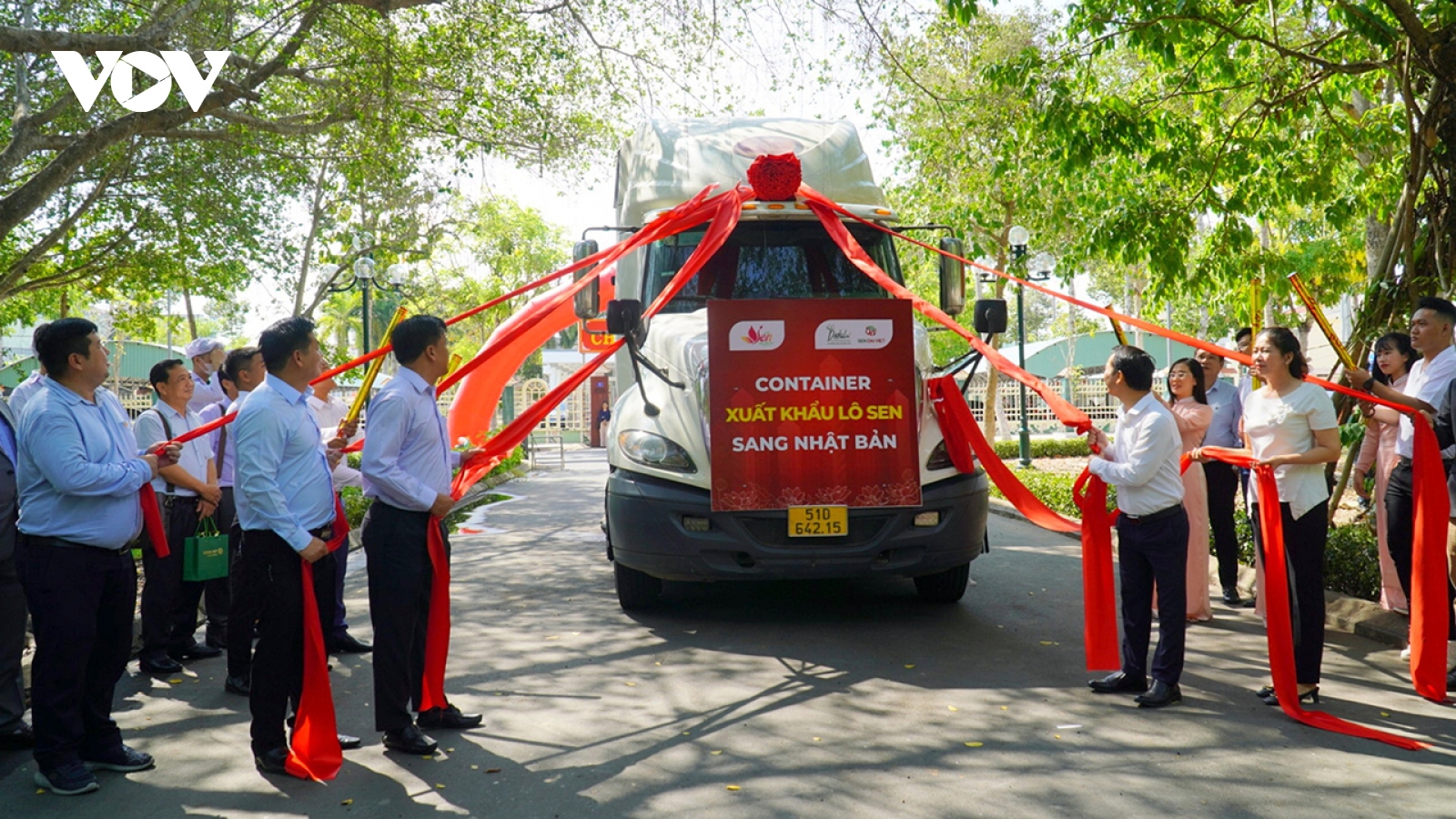 Đồng Tháp xuất khẩu lô củ sen đầu tiên sang Nhật Bản