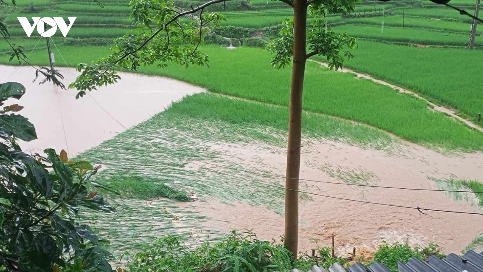 Mưa lớn ở Sơn La làm 1 người tử vong, thiệt hại nhiều tài sản