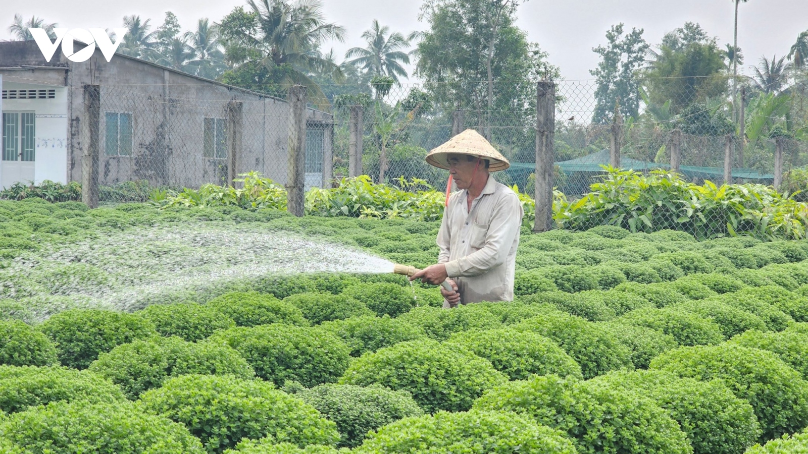 Một huyện ở Bến Tre có đến hơn 52.800 nông dân sản xuất giỏi các cấp