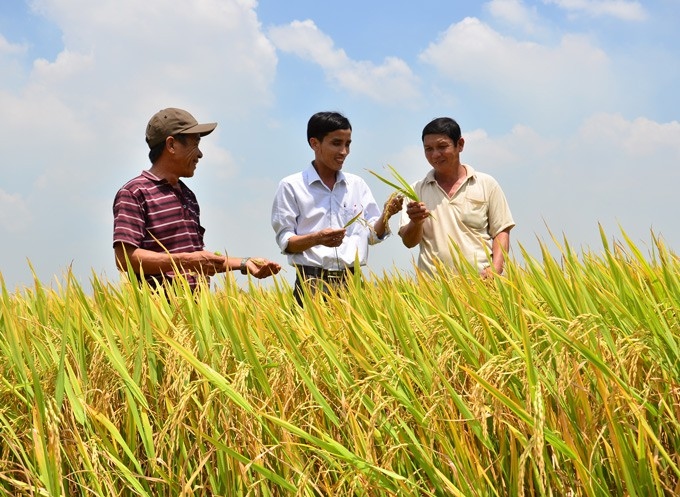 Những “siêu” nông dân thu nhập tiền tỷ đất Kiên Giang