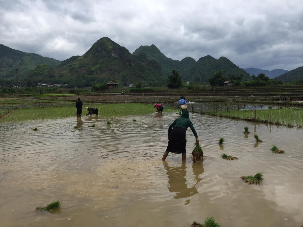 Trở lại “lãnh địa ma túy” Thôm Mòn, Sơn La