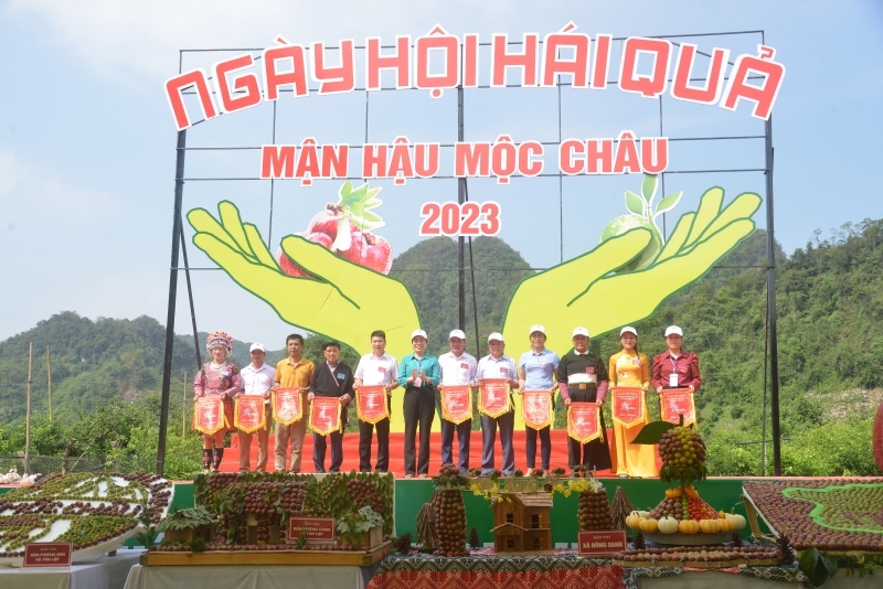 Cao nguyên Mộc Châu sôi động trong ngày hội hái quả