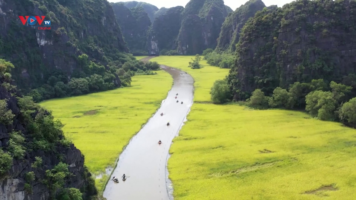 Ninh Bình xây dựng "Sắc vàng Tam Cốc - Tràng An" thành sản phẩm du lịch đặc trưng