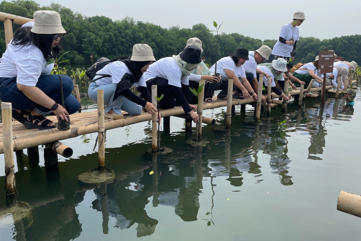 Khách du lịch gieo “hạt hy vọng” vào rừng ngập mặn ở Jakarta