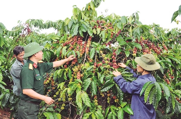 Kinh tế, quốc phòng - song hành gắn kết