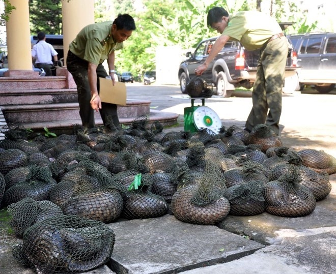 Mua bán động vật hoang dã, con người đối mặt với nhiều dịch bệnh truyền nhiễm