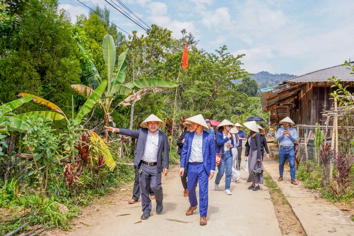 Ngành khách sạn Đà Nẵng hỗ trợ nông dân Cơ Tu tiêu thụ nông sản