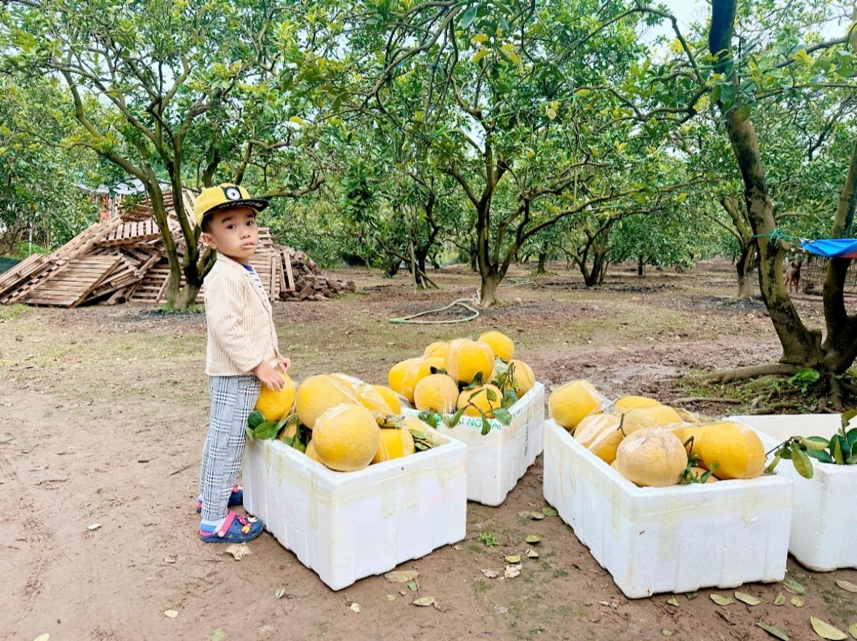 Hãy cho trẻ nhiều cơ hội để thấy điều thú vị của Tết