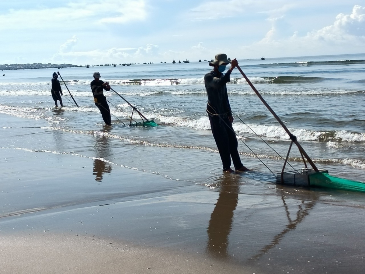 Lao động biển ở Bình Thuận liên tục tử vong