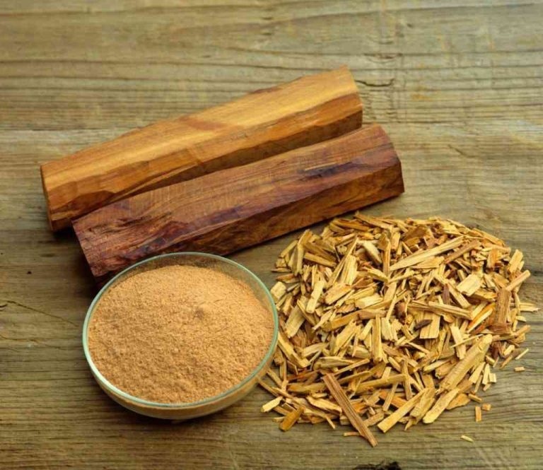 Loại gỗ quý hiếm được ví như "vàng xanh", tỏa hương thơm đặc biệt