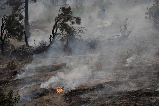 Hơn 28.000 người phải sơ tán do cháy rừng ở Bắc California, Mỹ
