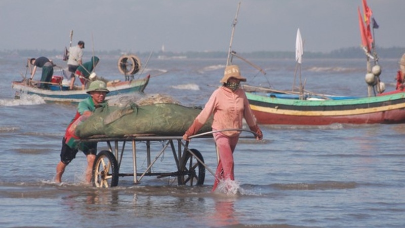 Đi lộng đánh bắt hải sản, ngư dân Nghệ An thu nhập tiền triệu mỗi ngày