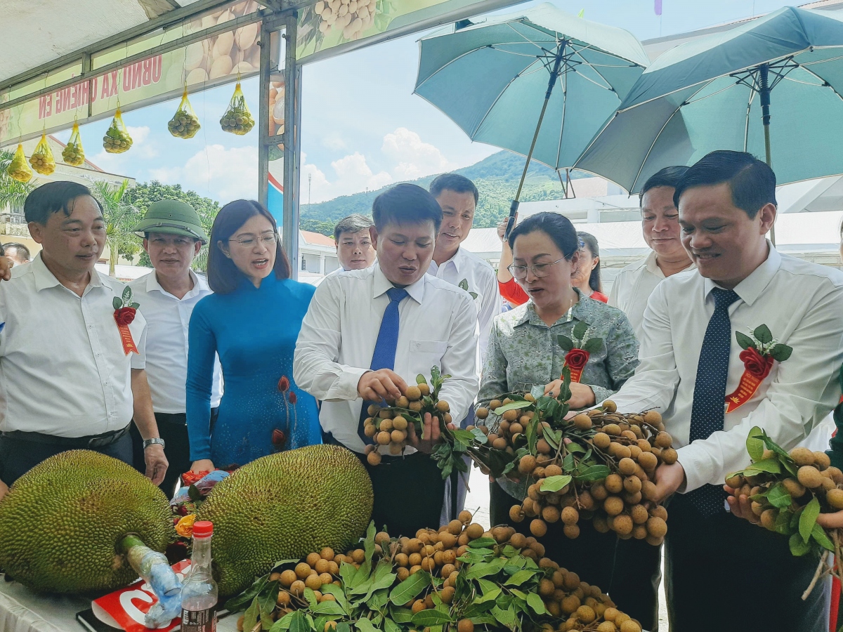 Nông sản Sơn La vươn ra “biển lớn“