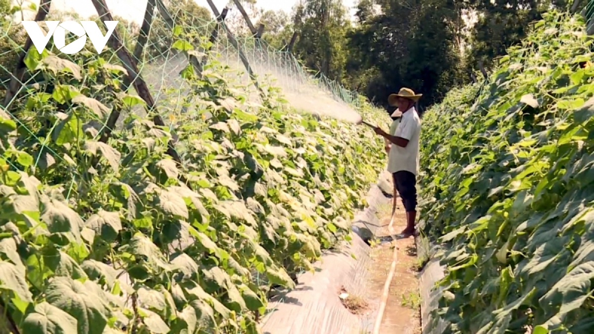 Vùng đồng bào Khmer không ngừng khởi sắc với các chương trình phát triển kinh tế